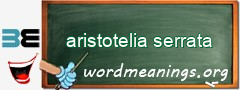 WordMeaning blackboard for aristotelia serrata